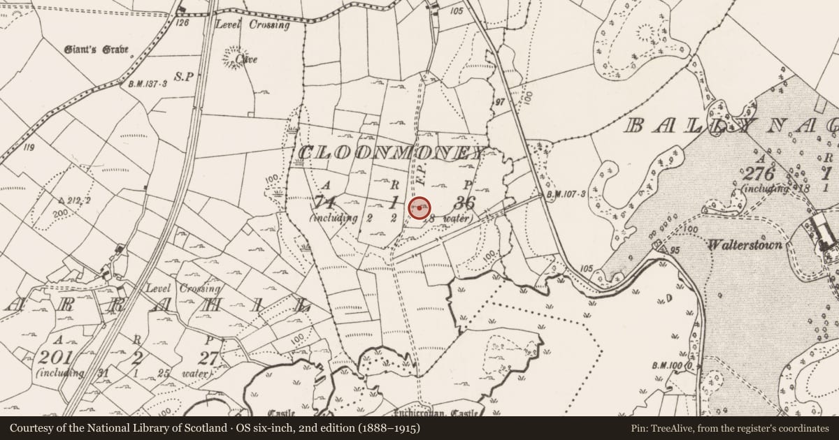 Ordnance Survey six-inch map, 2nd edition (1888–1915) covering the location of Coffin-resting stone, Cloonmoney, County Clare, with a pin at the register's coordinates