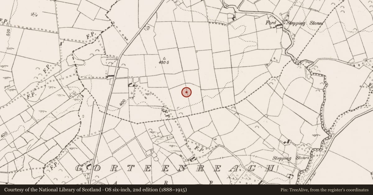 Ordnance Survey six-inch map, 2nd edition (1888–1915) covering the location of Enclosure, Magherabaun, County Clare, with a pin at the register's coordinates