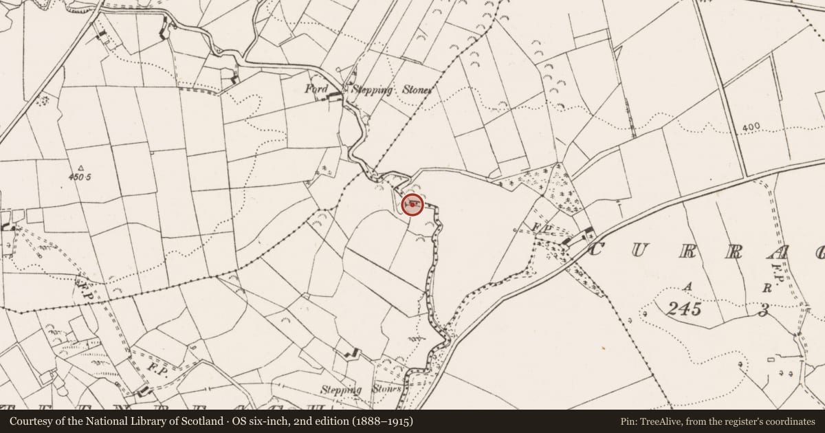 Ordnance Survey six-inch map, 2nd edition (1888–1915) covering the location of Water mill - unclassified, Curragh, County Clare, with a pin at the register's coordinates