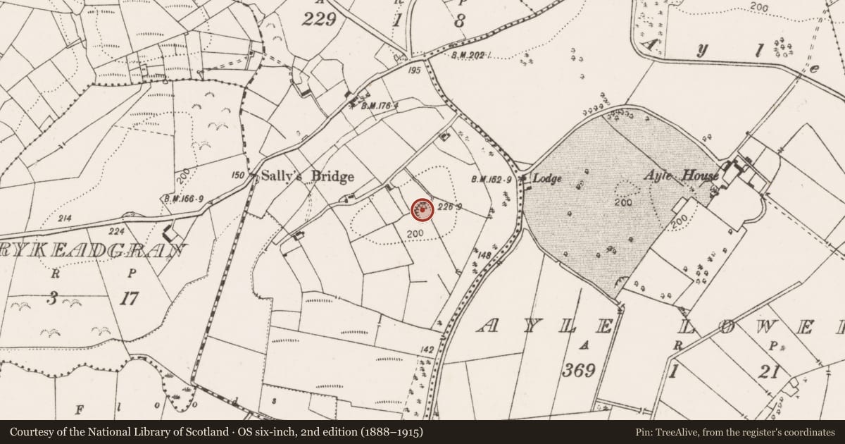 Ordnance Survey six-inch map, 2nd edition (1888–1915) covering the location of Ringfort - rath, Ayle Upper, County Clare, with a pin at the register's coordinates