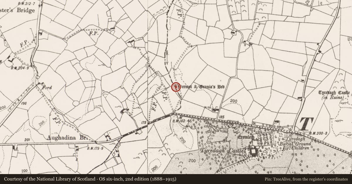 Ordnance Survey six-inch map, 2nd edition (1888–1915) covering the location of Megalithic tomb - unclassified, Tyredagh Upper, County Clare, with a pin at the register's coordinates