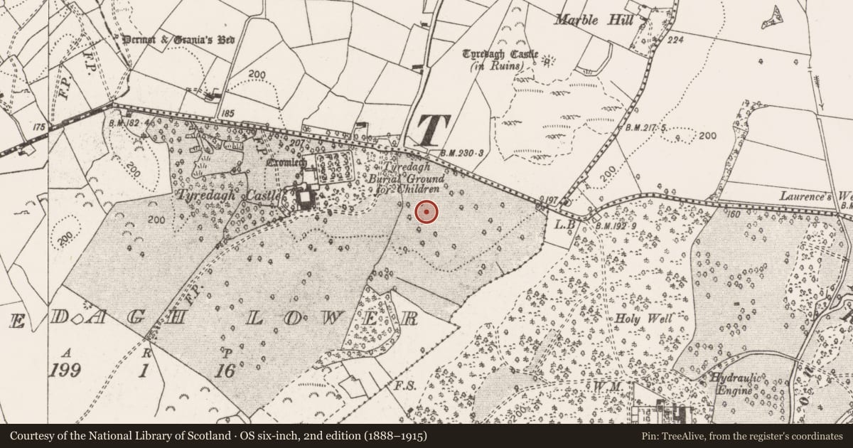Ordnance Survey six-inch map, 2nd edition (1888–1915) covering the location of Standing stone, Tyredagh Lower, County Clare, with a pin at the register's coordinates