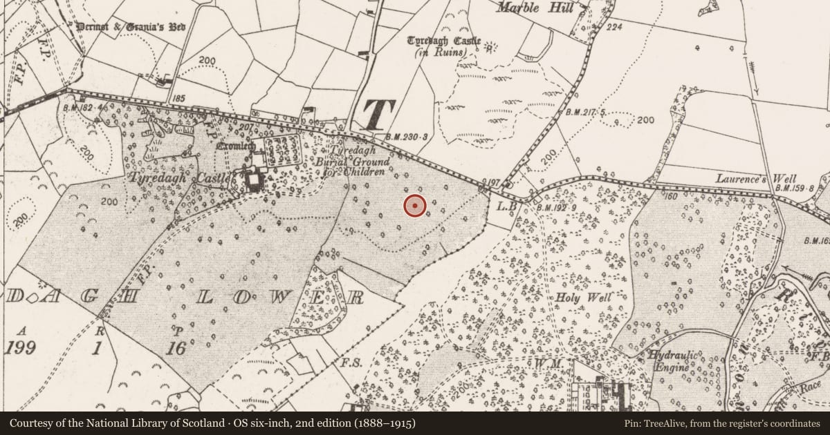 Ordnance Survey six-inch map, 2nd edition (1888–1915) covering the location of Enclosure, Tyredagh Lower, County Clare, with a pin at the register's coordinates