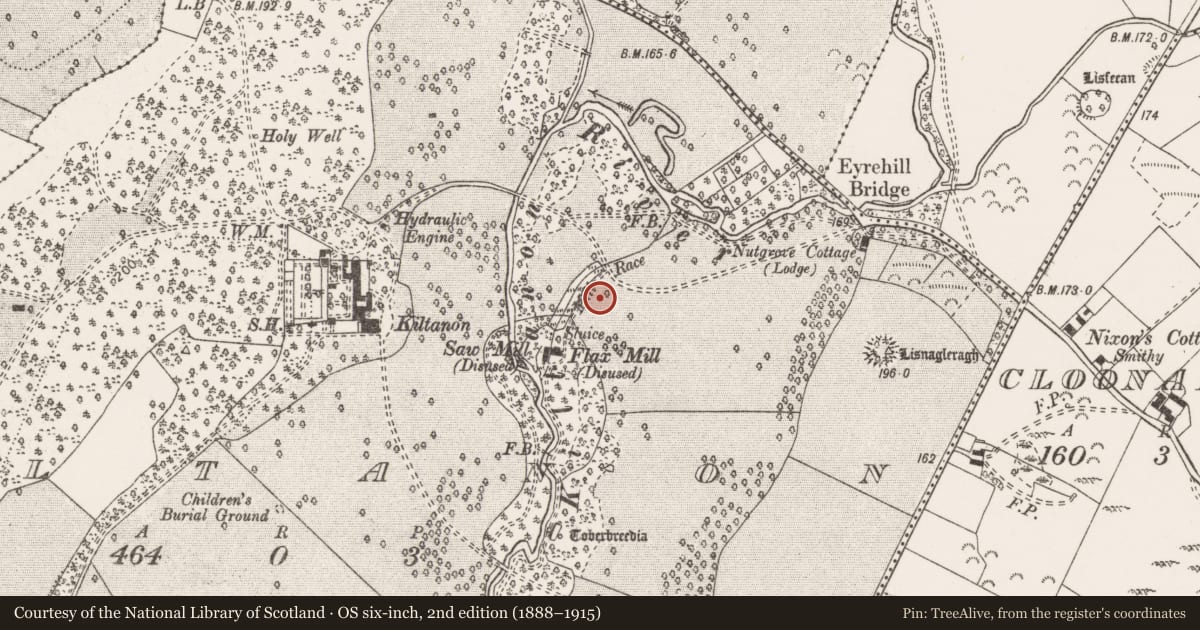 Ordnance Survey six-inch map, 2nd edition (1888–1915) covering the location of Megalithic structure, Kiltanon, County Clare, with a pin at the register's coordinates
