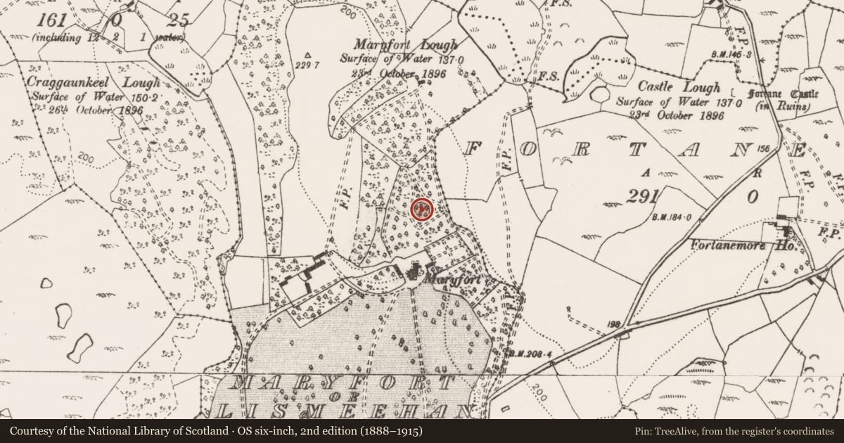 Ordnance Survey six-inch map, 2nd edition (1888–1915) covering the location of Ringfort - unclassified, Maryfort Or Lismeehan, County Clare, with a pin at the register's coordinates