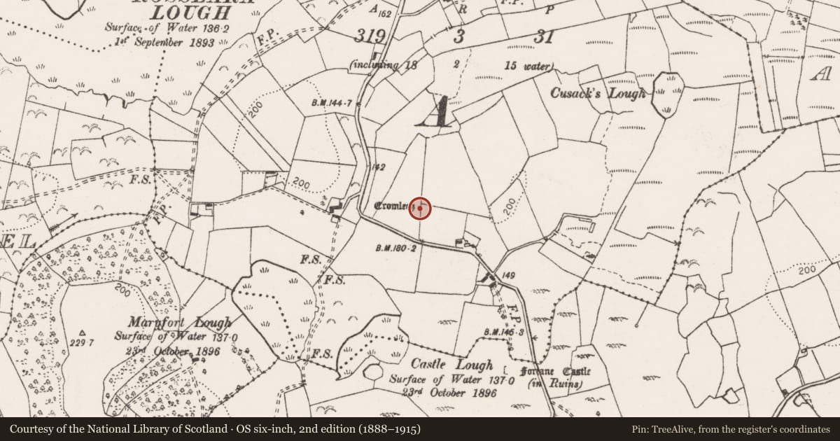Ordnance Survey six-inch map, 2nd edition (1888–1915) covering the location of Megalithic tomb - wedge tomb, Rosslara, County Clare, with a pin at the register's coordinates