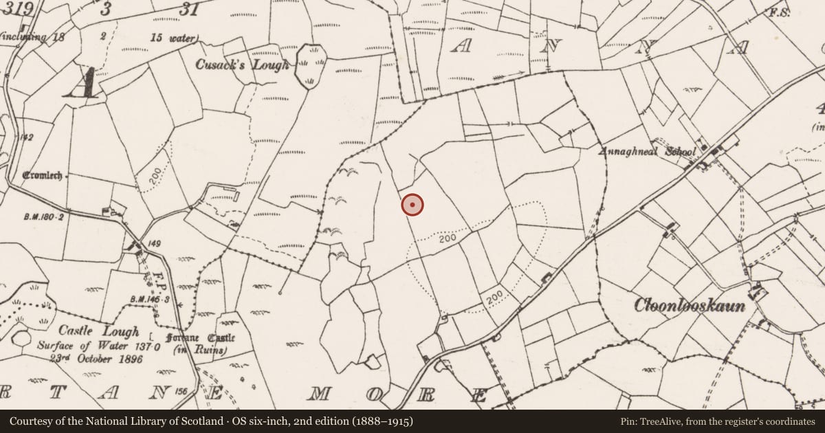 Ordnance Survey six-inch map, 2nd edition (1888–1915) covering the location of Enclosure, Fortane More, County Clare, with a pin at the register's coordinates