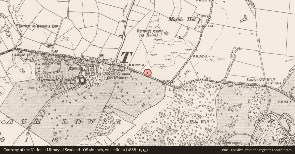 Ordnance Survey six-inch map, 2nd edition (1888–1915) covering the location of Bullaun stone, Tyredagh Upper, County Clare, with a pin at the register's coordinates