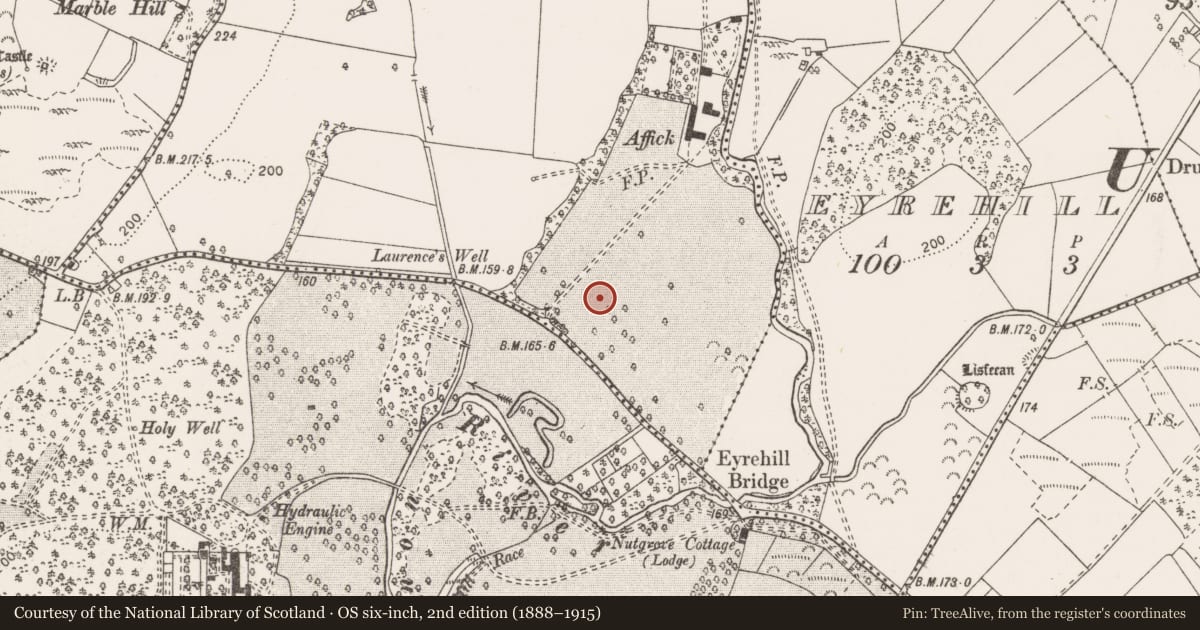 Ordnance Survey six-inch map, 2nd edition (1888–1915) covering the location of Enclosure, Affick, County Clare, with a pin at the register's coordinates