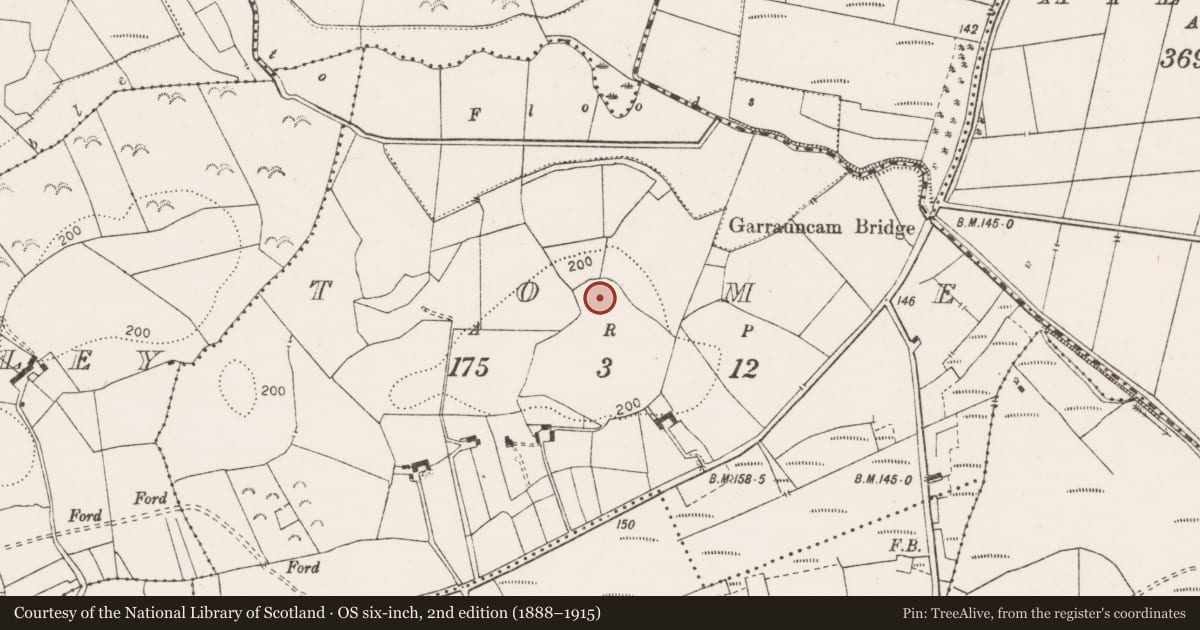 Ordnance Survey six-inch map, 2nd edition (1888–1915) covering the location of Enclosure, Tome, County Clare, with a pin at the register's coordinates