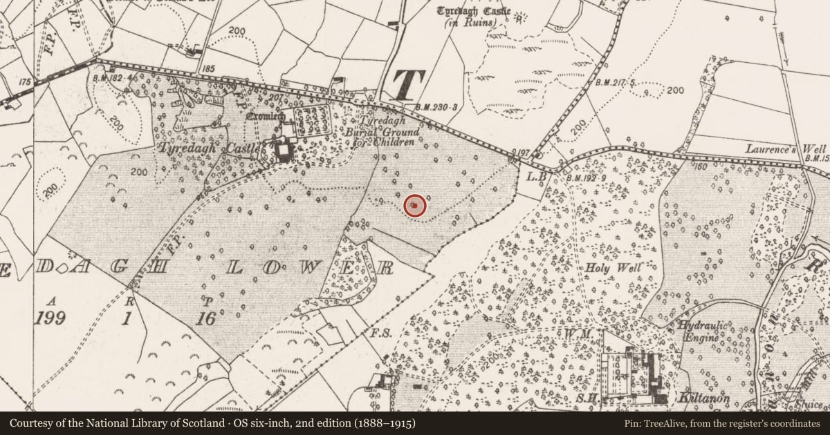 Ordnance Survey six-inch map, 2nd edition (1888–1915) covering the location of Standing stone, Tyredagh Lower, County Clare, with a pin at the register's coordinates