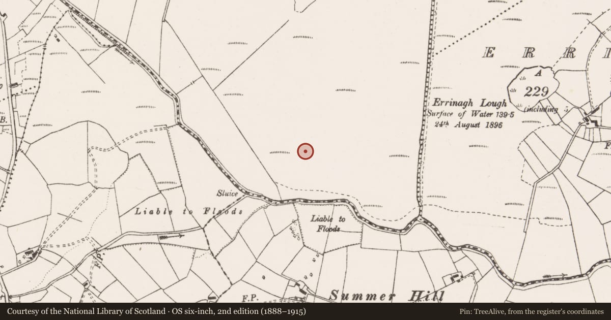 Ordnance Survey six-inch map, 2nd edition (1888–1915) covering the location of Enclosure, Ayle Lower, County Clare, with a pin at the register's coordinates