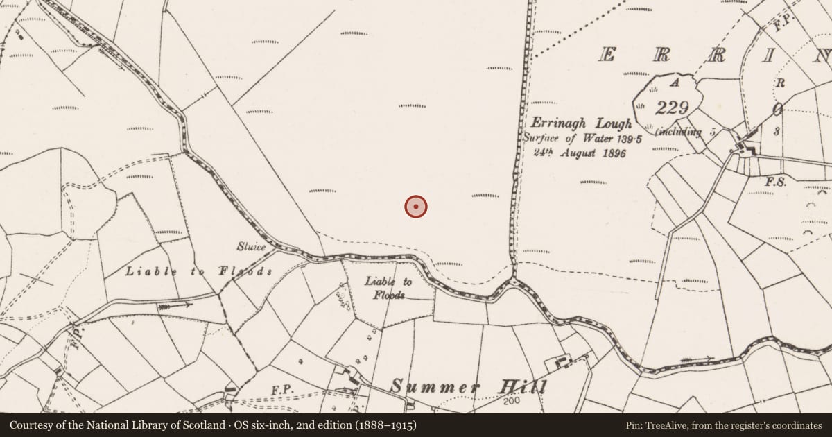 Ordnance Survey six-inch map, 2nd edition (1888–1915) covering the location of Enclosure, Ayle Lower, County Clare, with a pin at the register's coordinates