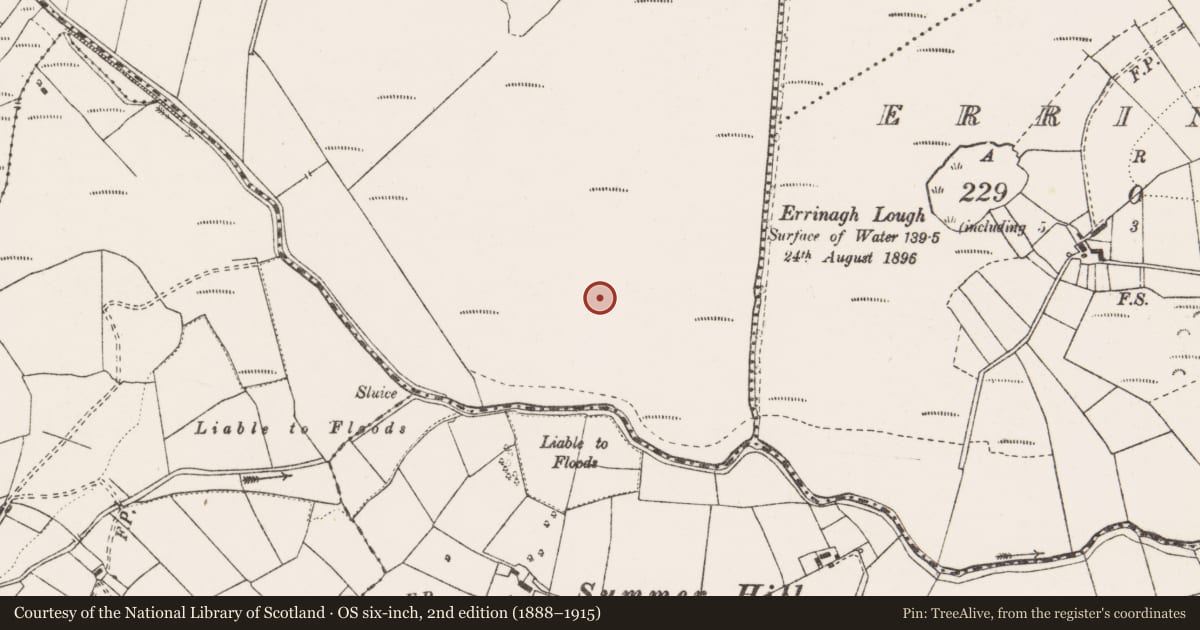 Ordnance Survey six-inch map, 2nd edition (1888–1915) covering the location of Enclosure, Ayle Lower, County Clare, with a pin at the register's coordinates