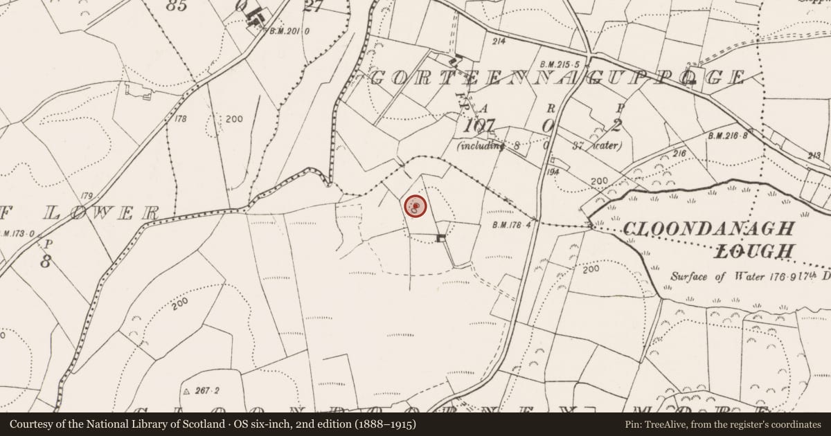 Ordnance Survey six-inch map, 2nd edition (1888–1915) covering the location of Enclosure - large enclosure, Cloondoorney More, County Clare, with a pin at the register's coordinates