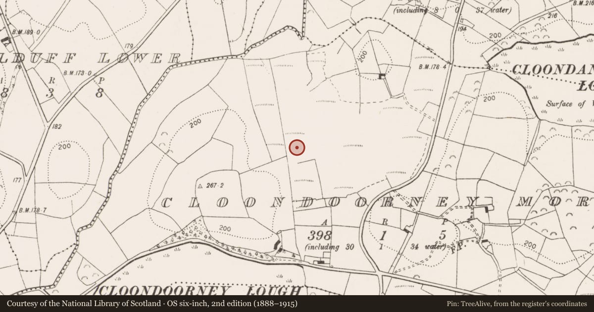 Ordnance Survey six-inch map, 2nd edition (1888–1915) covering the location of Enclosure, Cloondoorney More, County Clare, with a pin at the register's coordinates