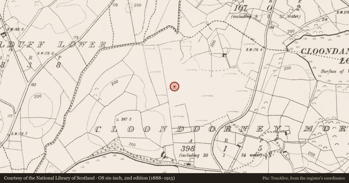 Ordnance Survey six-inch map, 2nd edition (1888–1915) covering the location of Enclosure, Cloondoorney More, County Clare, with a pin at the register's coordinates