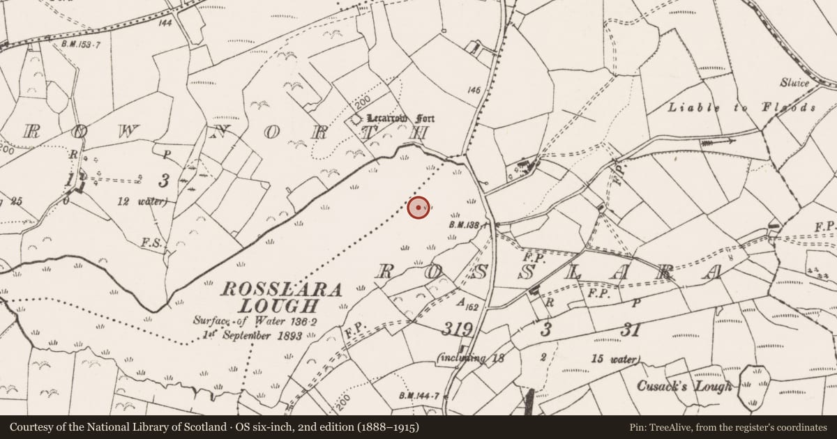 Ordnance Survey six-inch map, 2nd edition (1888–1915) covering the location of Crannog, Rosslara, County Clare, with a pin at the register's coordinates
