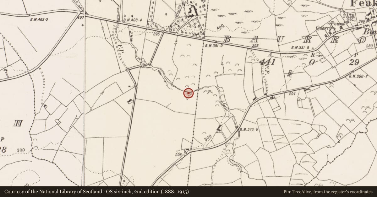 Ordnance Survey six-inch map, 2nd edition (1888–1915) covering the location of Quarry, Bauragegaun, County Clare, with a pin at the register's coordinates