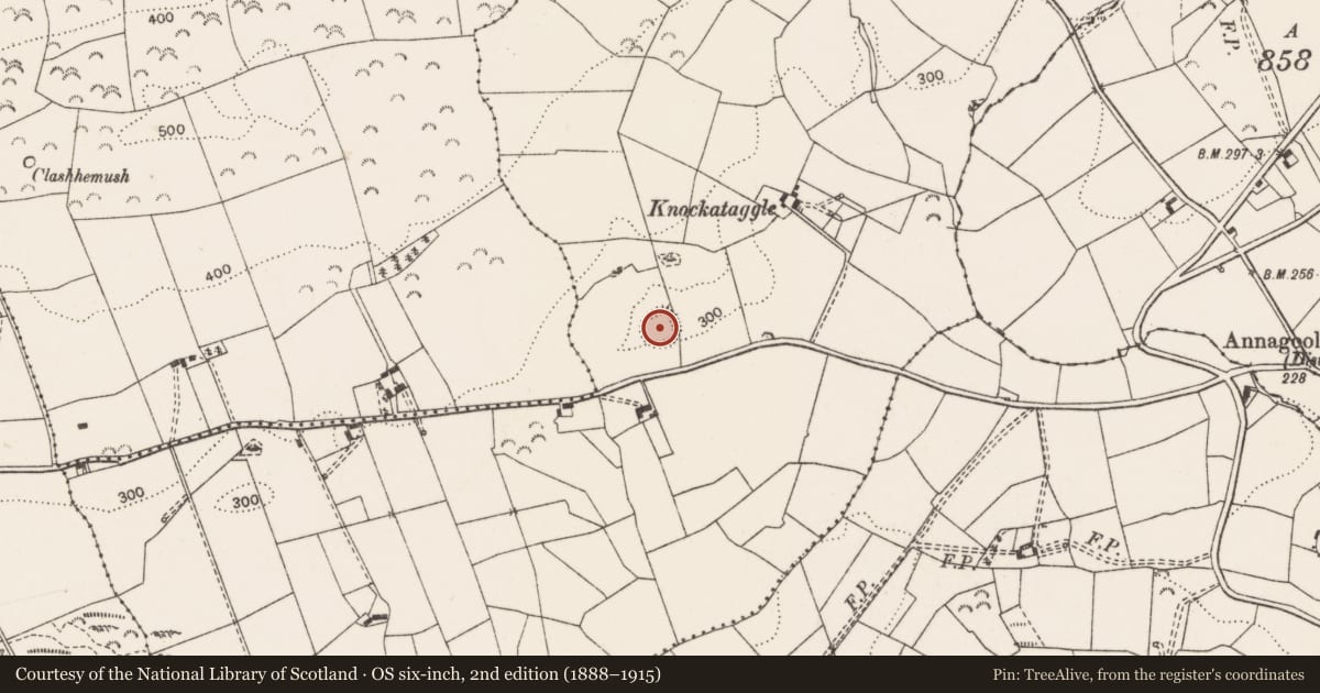 Ordnance Survey six-inch map, 2nd edition (1888–1915) covering the location of Enclosure, Aughrim, County Clare, with a pin at the register's coordinates