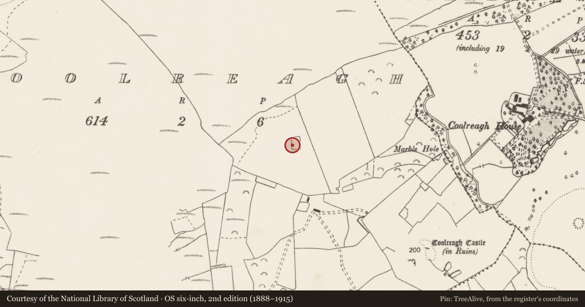 Ordnance Survey six-inch map, 2nd edition (1888–1915) covering the location of Enclosure, Coolreagh, County Clare, with a pin at the register's coordinates