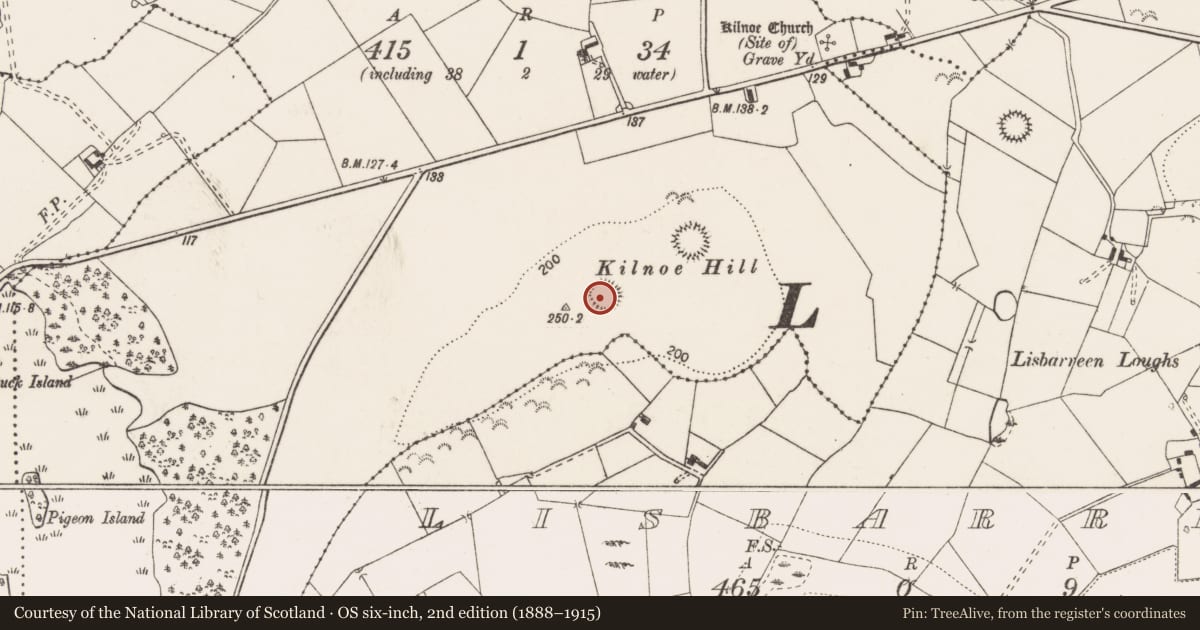 Ordnance Survey six-inch map, 2nd edition (1888–1915) covering the location of Ringfort - rath, Kilnoe, County Clare, with a pin at the register's coordinates