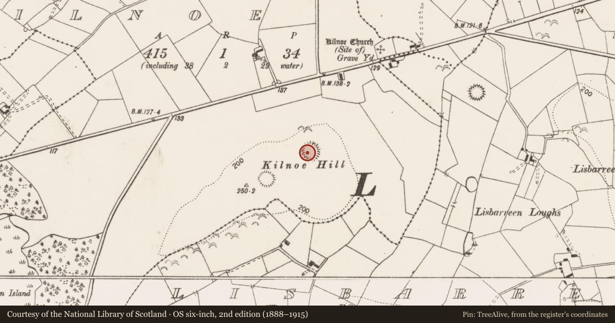 Ordnance Survey six-inch map, 2nd edition (1888–1915) covering the location of Ringfort - rath, Kilnoe, County Clare, with a pin at the register's coordinates