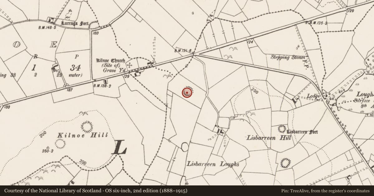 Ordnance Survey six-inch map, 2nd edition (1888–1915) covering the location of Ringfort - rath, Lisbarreen, County Clare, with a pin at the register's coordinates