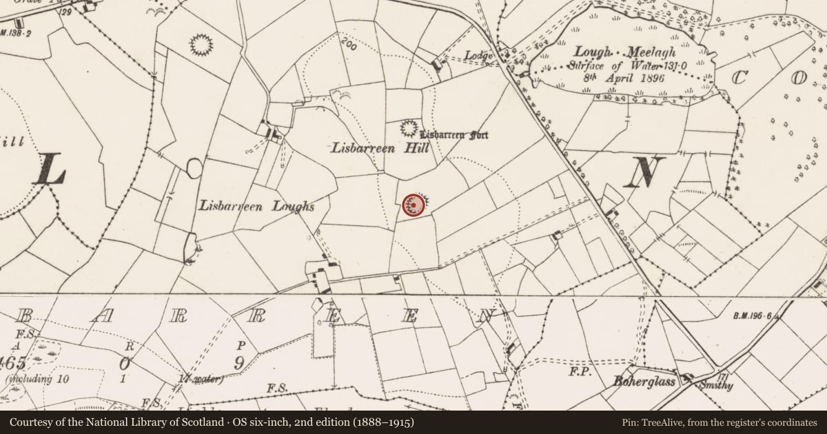 Ordnance Survey six-inch map, 2nd edition (1888–1915) covering the location of Ringfort - rath, Lisbarreen, County Clare, with a pin at the register's coordinates