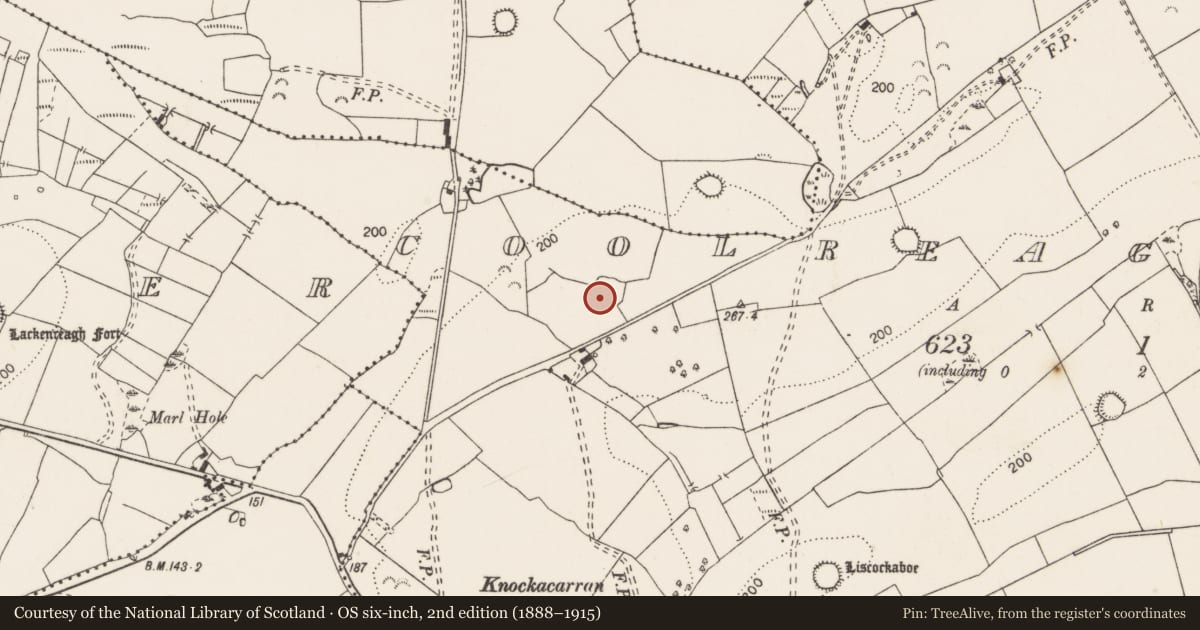 Ordnance Survey six-inch map, 2nd edition (1888–1915) covering the location of Ringfort - rath, Coolreagh More, County Clare, with a pin at the register's coordinates