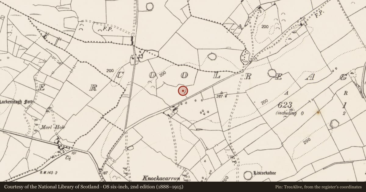 Ordnance Survey six-inch map, 2nd edition (1888–1915) covering the location of Standing stone, Coolreagh More, County Clare, with a pin at the register's coordinates