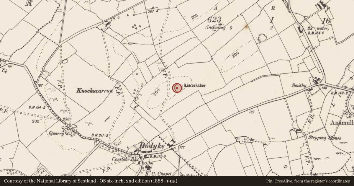 Ordnance Survey six-inch map, 2nd edition (1888–1915) covering the location of Ringfort - rath, Coolreagh More, County Clare, with a pin at the register's coordinates