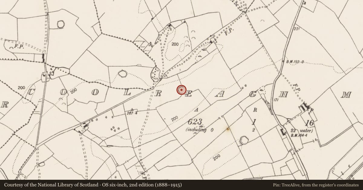 Ordnance Survey six-inch map, 2nd edition (1888–1915) covering the location of Enclosure, Coolreagh More, County Clare, with a pin at the register's coordinates