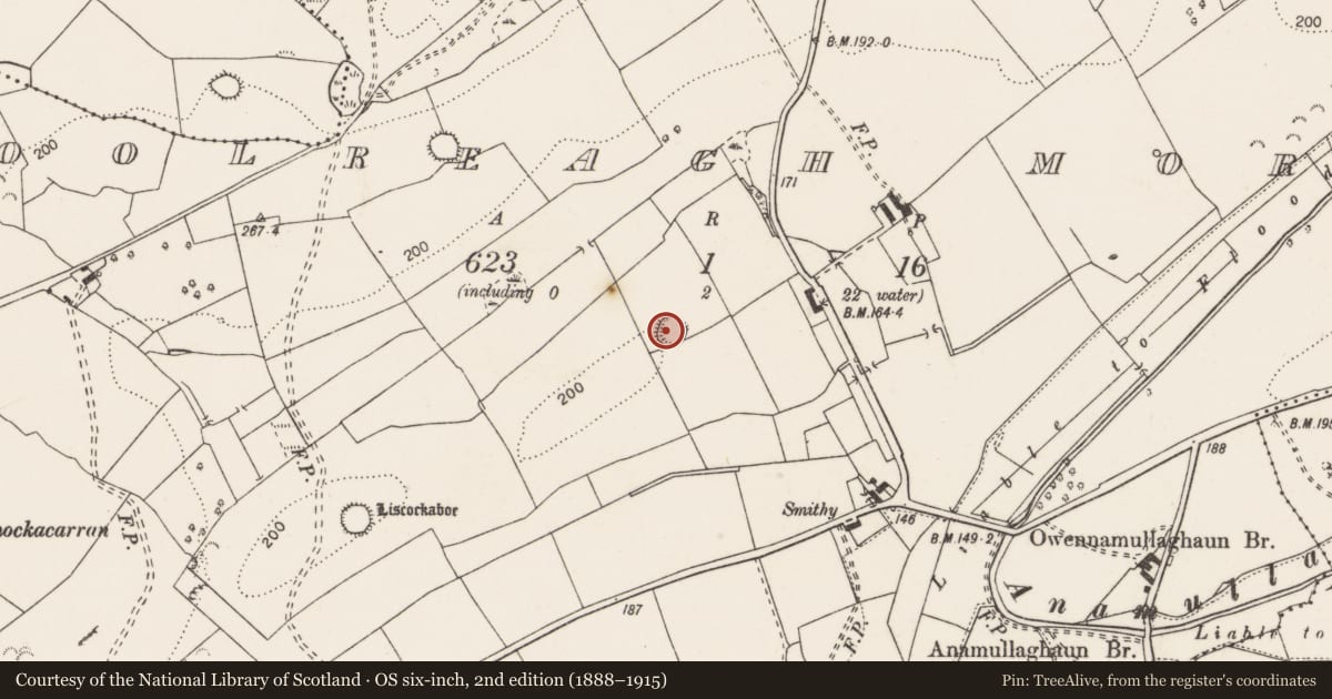 Ordnance Survey six-inch map, 2nd edition (1888–1915) covering the location of Ringfort - rath, Coolreagh More, County Clare, with a pin at the register's coordinates
