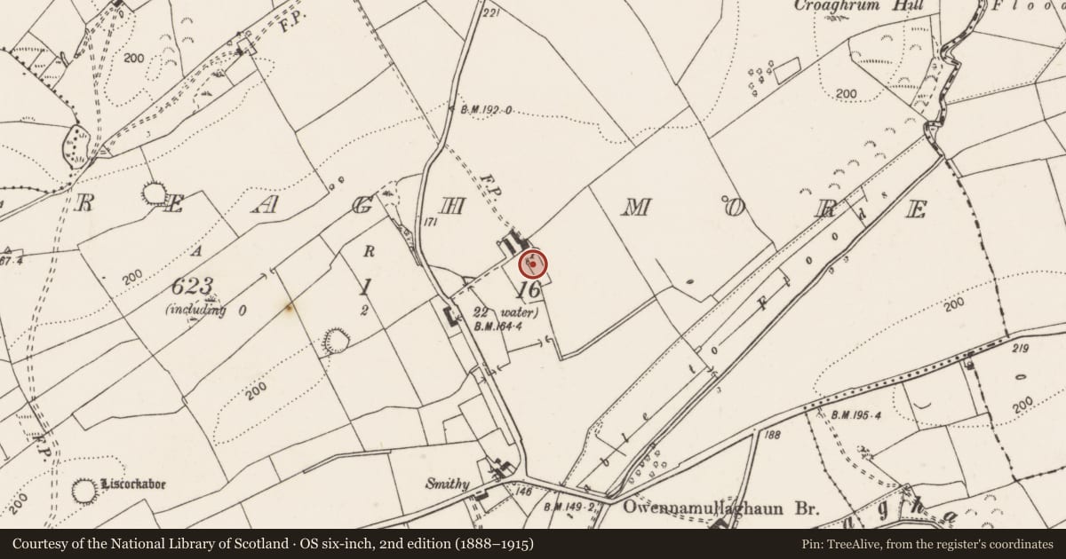 Ordnance Survey six-inch map, 2nd edition (1888–1915) covering the location of Castle - tower house, Coolreagh More, County Clare, with a pin at the register's coordinates