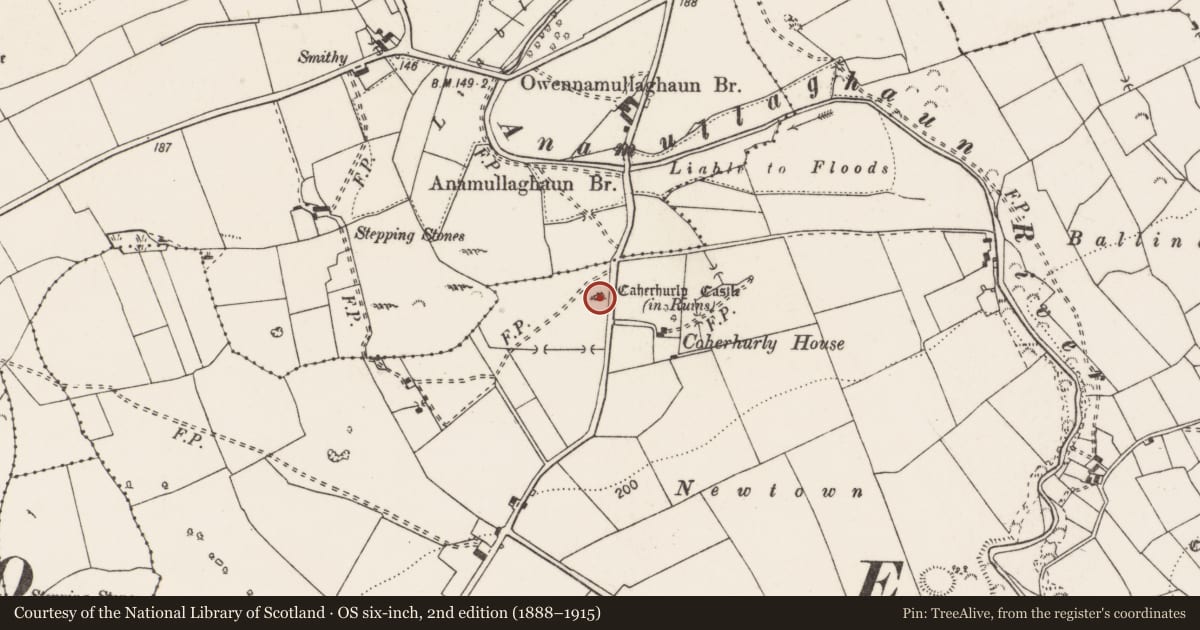 Ordnance Survey six-inch map, 2nd edition (1888–1915) covering the location of Castle - unclassified, Caherhurly, County Clare, with a pin at the register's coordinates