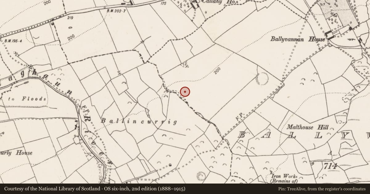 Ordnance Survey six-inch map, 2nd edition (1888–1915) covering the location of Enclosure, Ballyvannan, County Clare, with a pin at the register's coordinates
