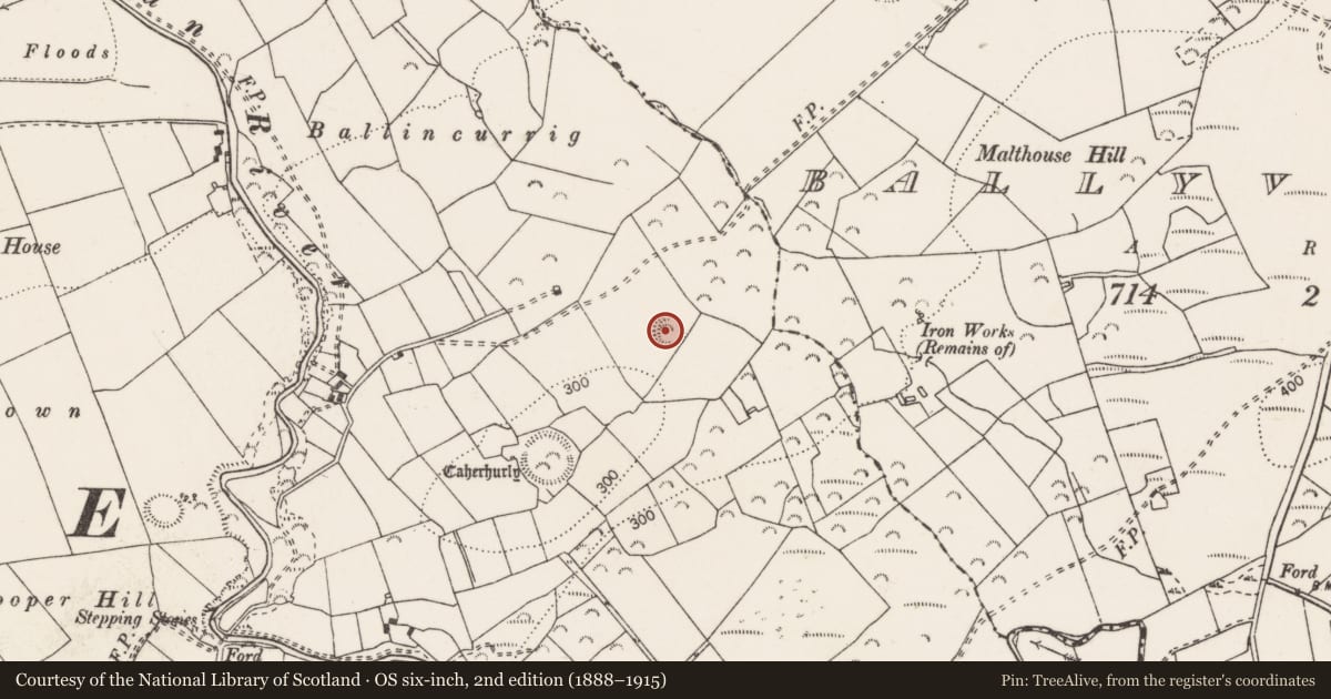 Ordnance Survey six-inch map, 2nd edition (1888–1915) covering the location of Enclosure, Caherhurly, County Clare, with a pin at the register's coordinates
