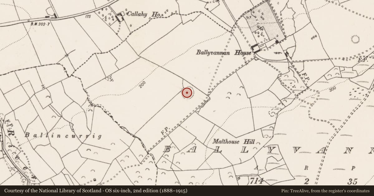 Ordnance Survey six-inch map, 2nd edition (1888–1915) covering the location of Enclosure, Ballyvannan, County Clare, with a pin at the register's coordinates