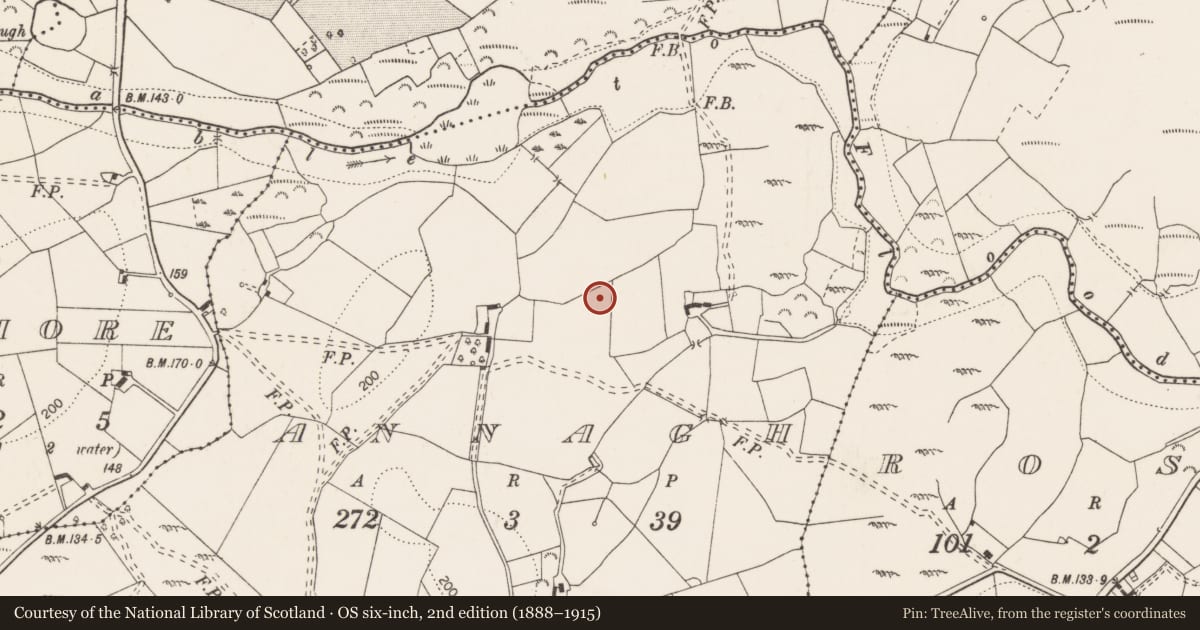 Ordnance Survey six-inch map, 2nd edition (1888–1915) covering the location of Children's burial ground, Annagh, County Clare, with a pin at the register's coordinates