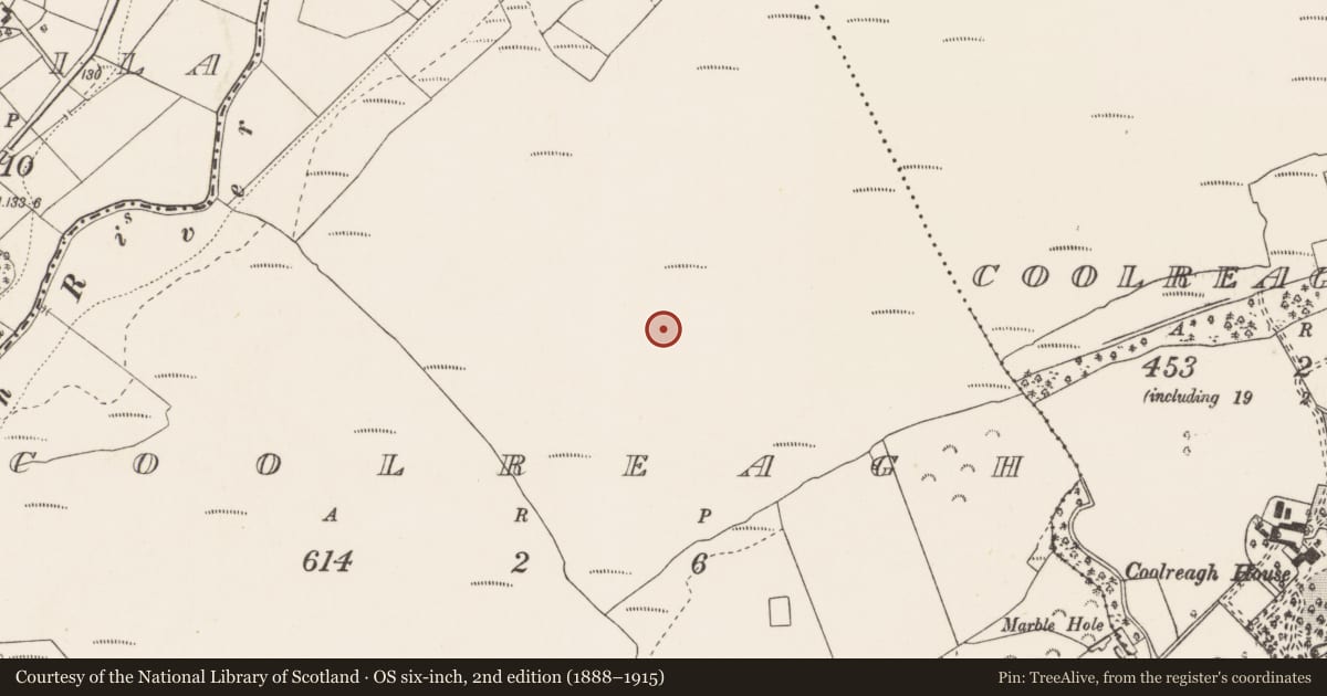 Ordnance Survey six-inch map, 2nd edition (1888–1915) covering the location of Road - class 1 togher, Coolreagh, County Clare, with a pin at the register's coordinates