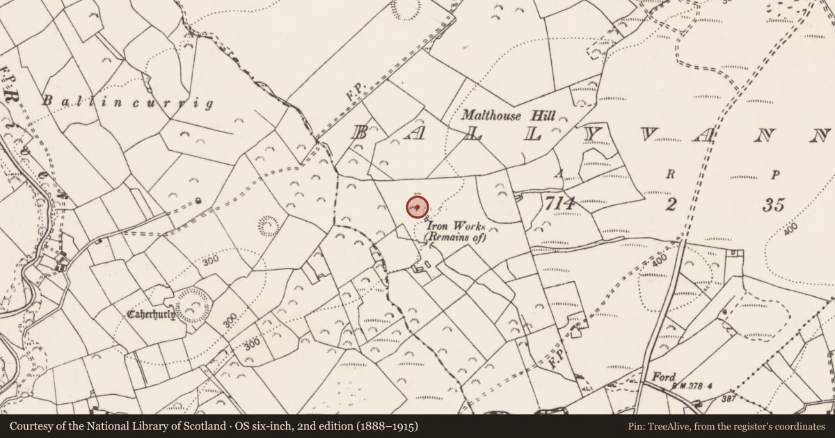 Ordnance Survey six-inch map, 2nd edition (1888–1915) covering the location of Furnace, Ballyvannan, County Clare, with a pin at the register's coordinates