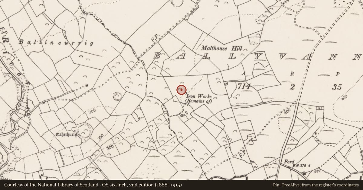 Ordnance Survey six-inch map, 2nd edition (1888–1915) covering the location of Kiln - lime, Ballyvannan, County Clare, with a pin at the register's coordinates