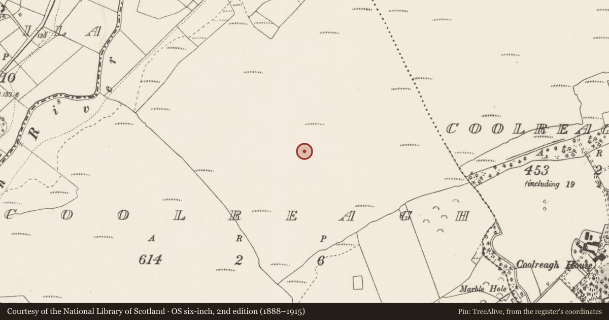 Ordnance Survey six-inch map, 2nd edition (1888–1915) covering the location of Road - unclassified togher, Coolreagh, County Clare, with a pin at the register's coordinates