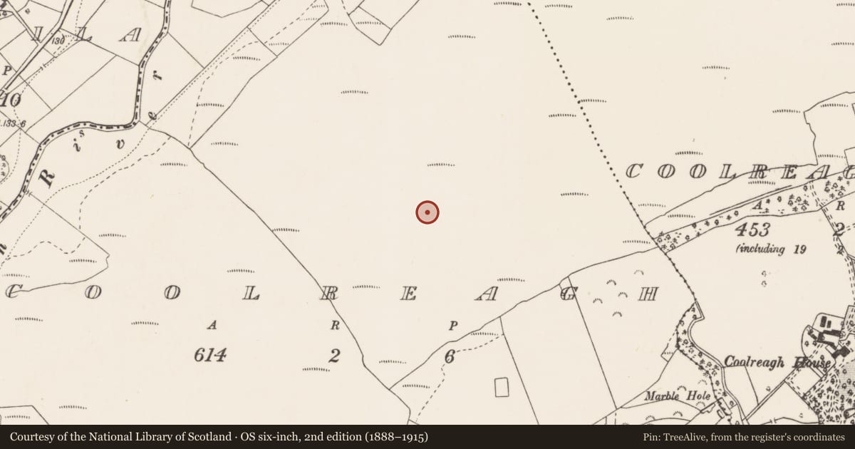 Ordnance Survey six-inch map, 2nd edition (1888–1915) covering the location of Road - unclassified togher, Coolreagh, County Clare, with a pin at the register's coordinates