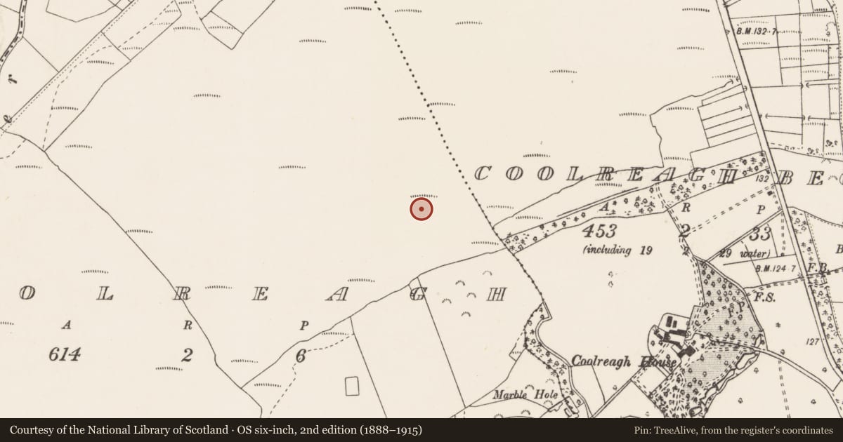 Ordnance Survey six-inch map, 2nd edition (1888–1915) covering the location of Road - unclassified togher, Coolreagh, County Clare, with a pin at the register's coordinates