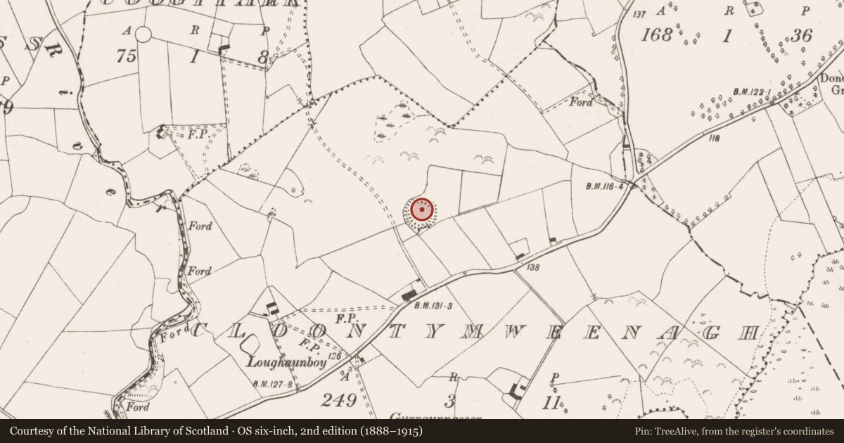 Ordnance Survey six-inch map, 2nd edition (1888–1915) covering the location of Ringfort - rath, Cloontymweenagh, County Clare, with a pin at the register's coordinates