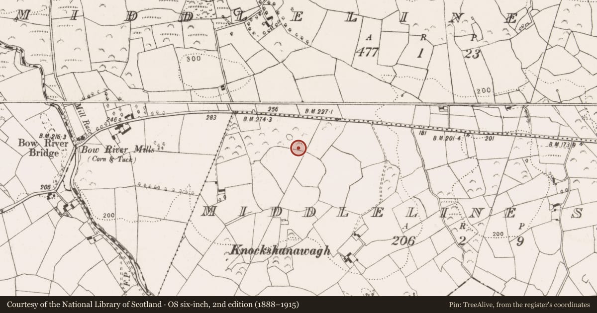 Ordnance Survey six-inch map, 2nd edition (1888–1915) covering the location of Enclosure, Middleline South, County Clare, with a pin at the register's coordinates