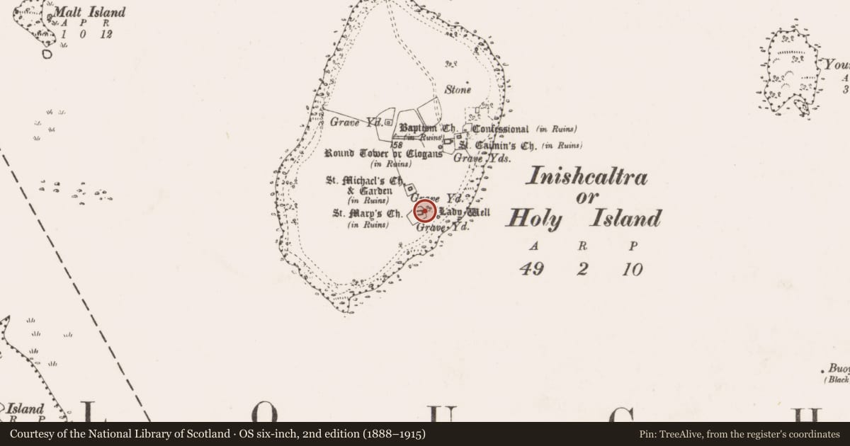 Ordnance Survey six-inch map, 2nd edition (1888–1915) covering the location of Church, Inishcaltra Or Holy Island, County Clare, with a pin at the register's coordinates