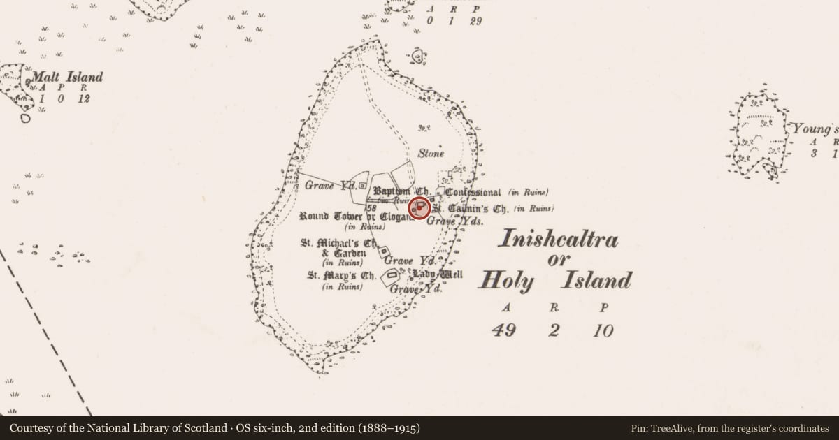 Ordnance Survey six-inch map, 2nd edition (1888–1915) covering the location of Round tower, Inishcaltra Or Holy Island, County Clare, with a pin at the register's coordinates